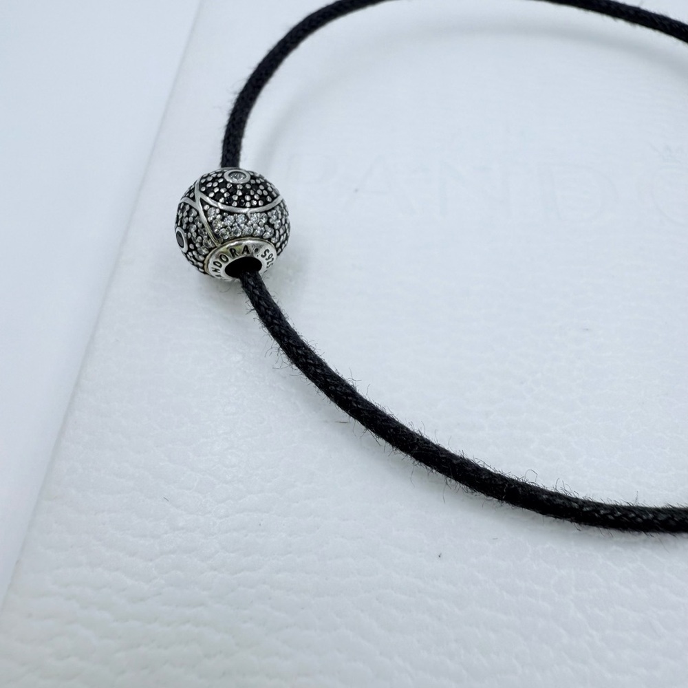 Pandora Bracelet & Charm - Picture 4 of 4